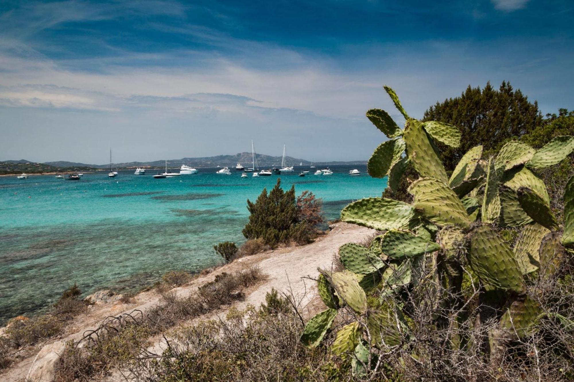 Villetta Franca 100M From The Beach - Happy Rentals Golfo Aranci Buitenkant foto